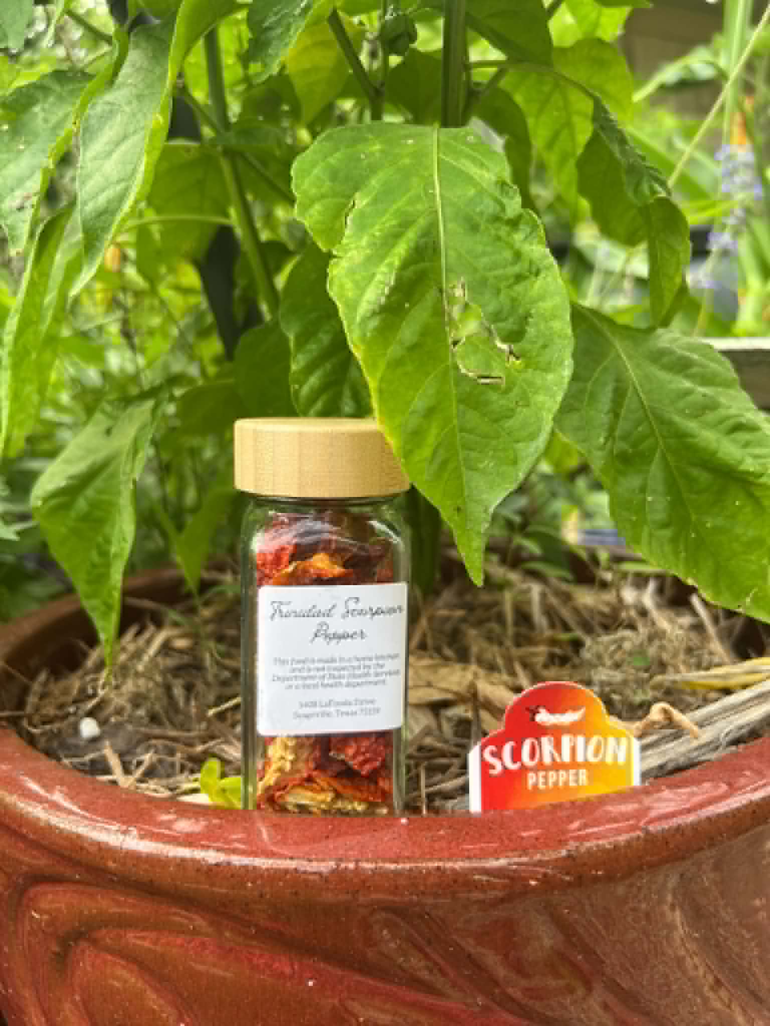 Dried peppers, herbs, and sauces