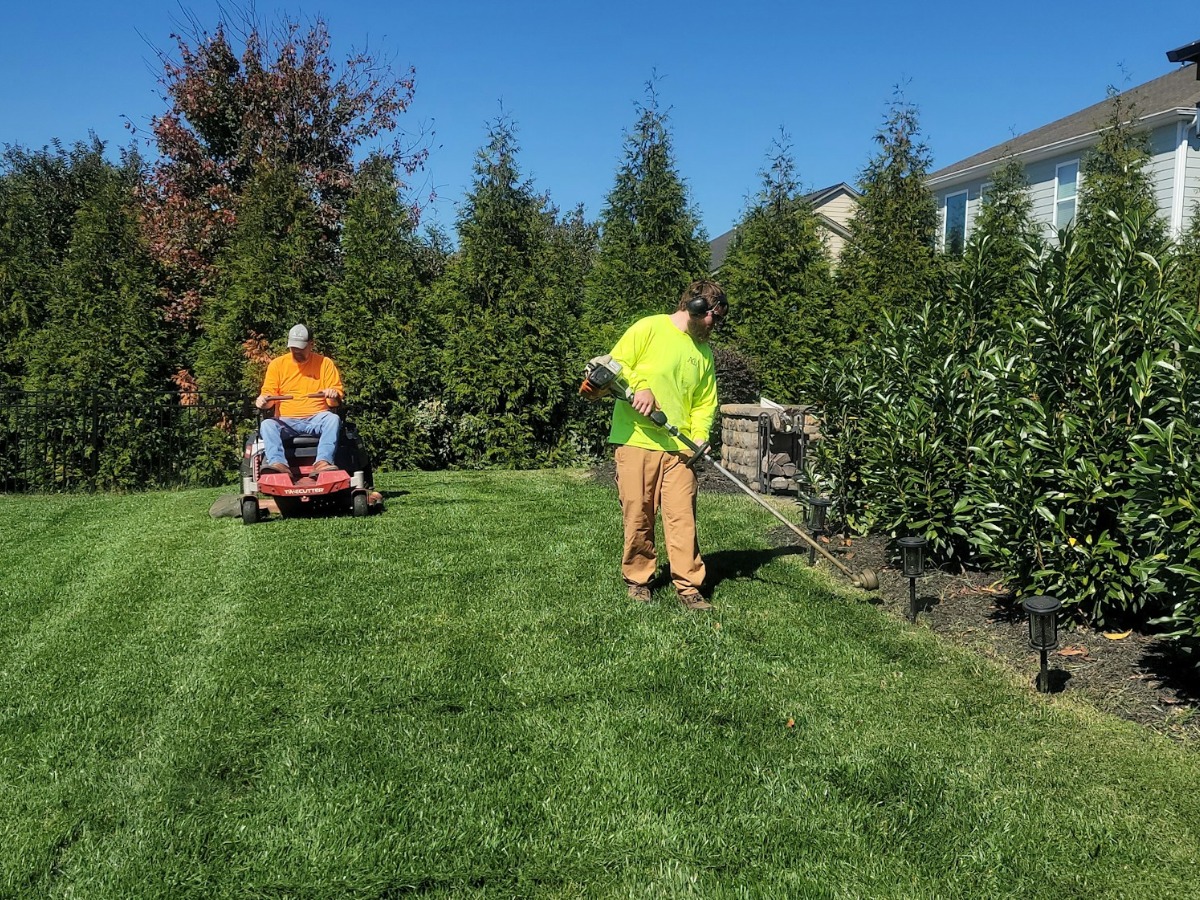 Landscaping professional tending a garden